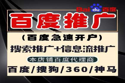 专业SEM托管服务成功案例分享